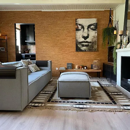 Near Zandvoort & Amsterdam House בלומינדייל